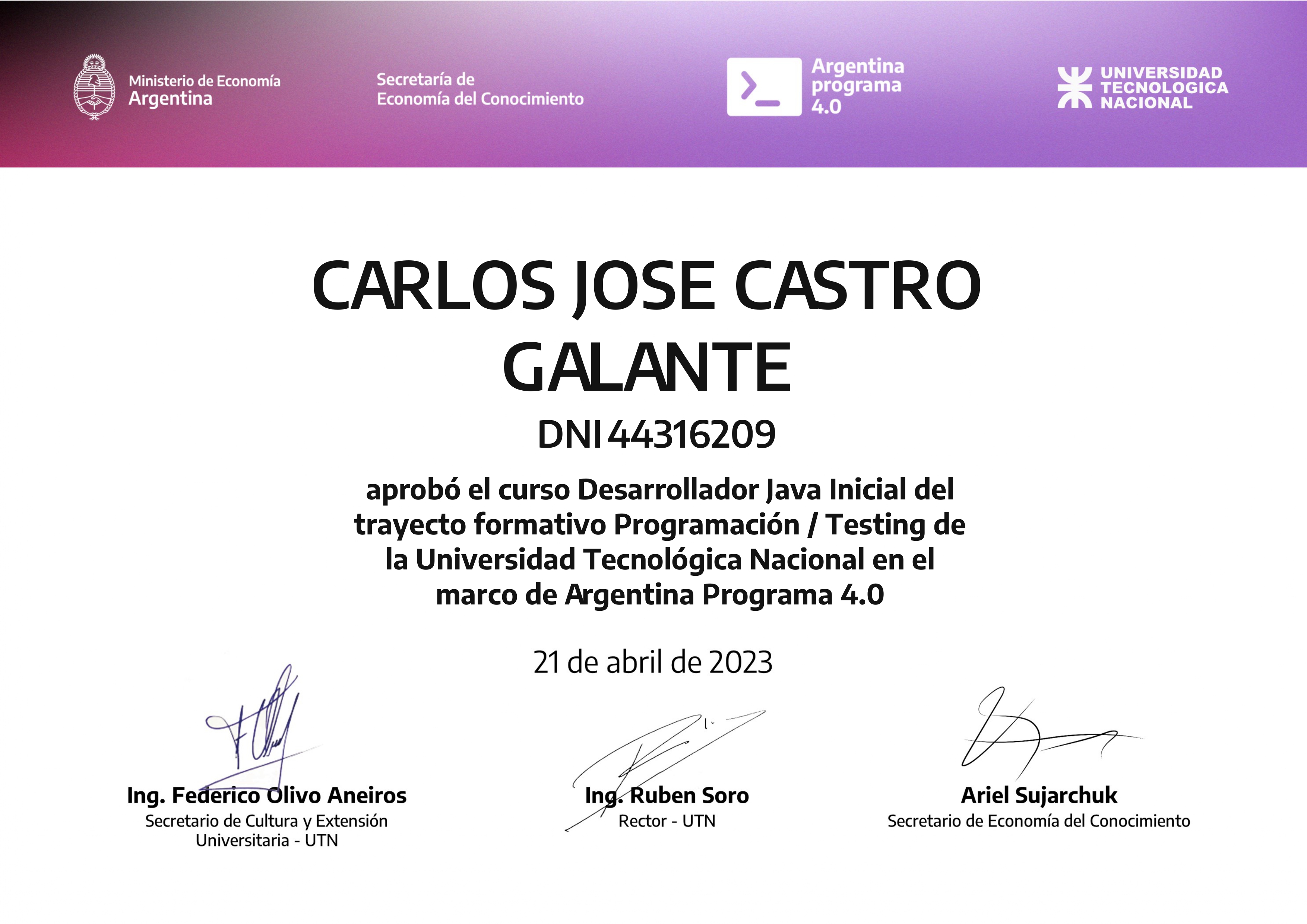 Desarrollador Java Inicial: Programación / Testing